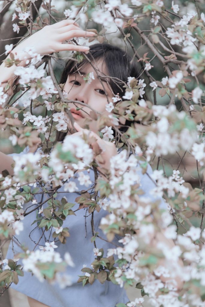 樱花下的少女写真