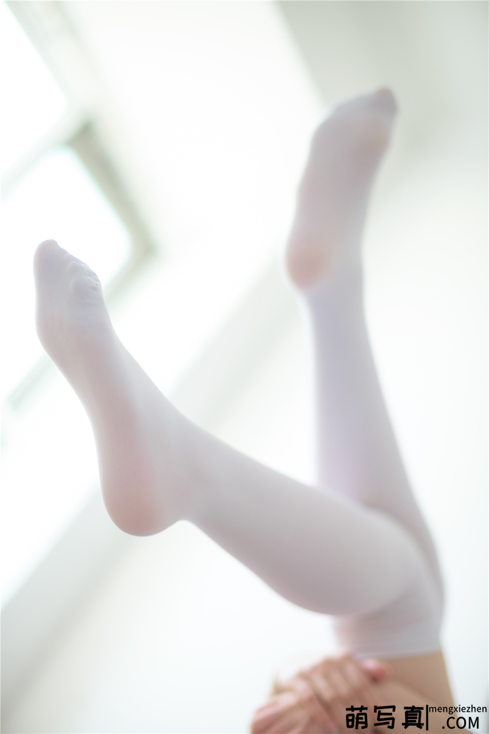 [森萝财团] R15-003 水嫩白丝[94P-535M][免费下载]