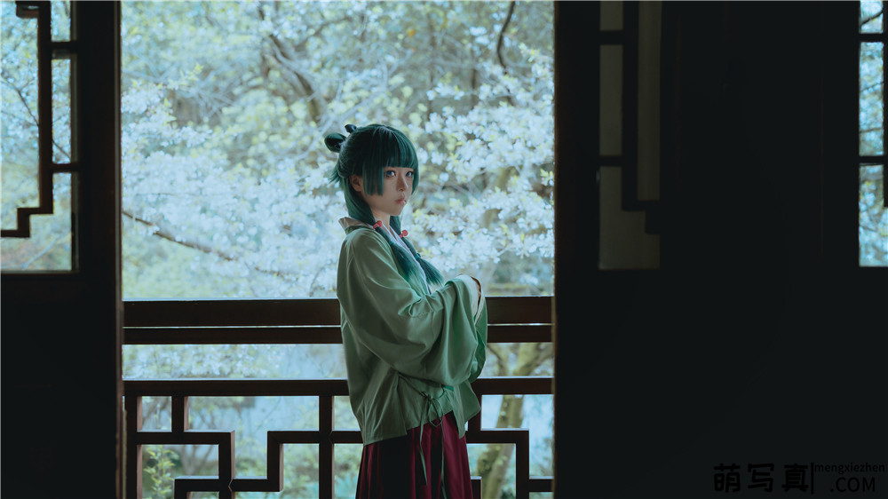 [矢量鱼] 药屋少女的呢喃 猫猫[52P-326M]