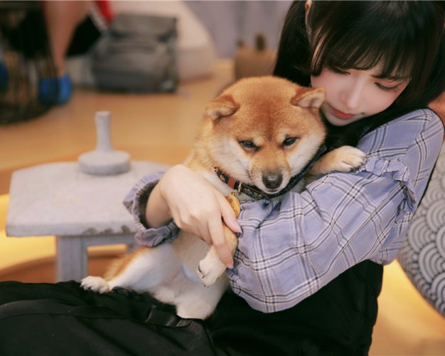 Shika小鹿鹿-生日写真[31P-301M]