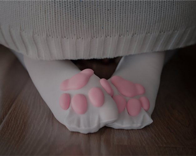 轩萧学姐-猫爪袜[40P-118M]