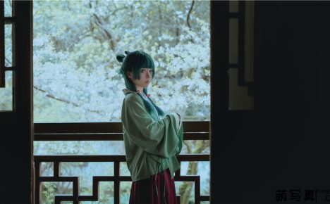 [矢量鱼] 药屋少女的呢喃 猫猫[52P-326M]