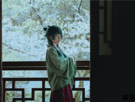 [矢量鱼] 药屋少女的呢喃 猫猫[52P-326M]