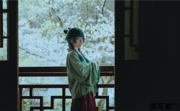 [矢量鱼] 药屋少女的呢喃 猫猫[52P-326M]